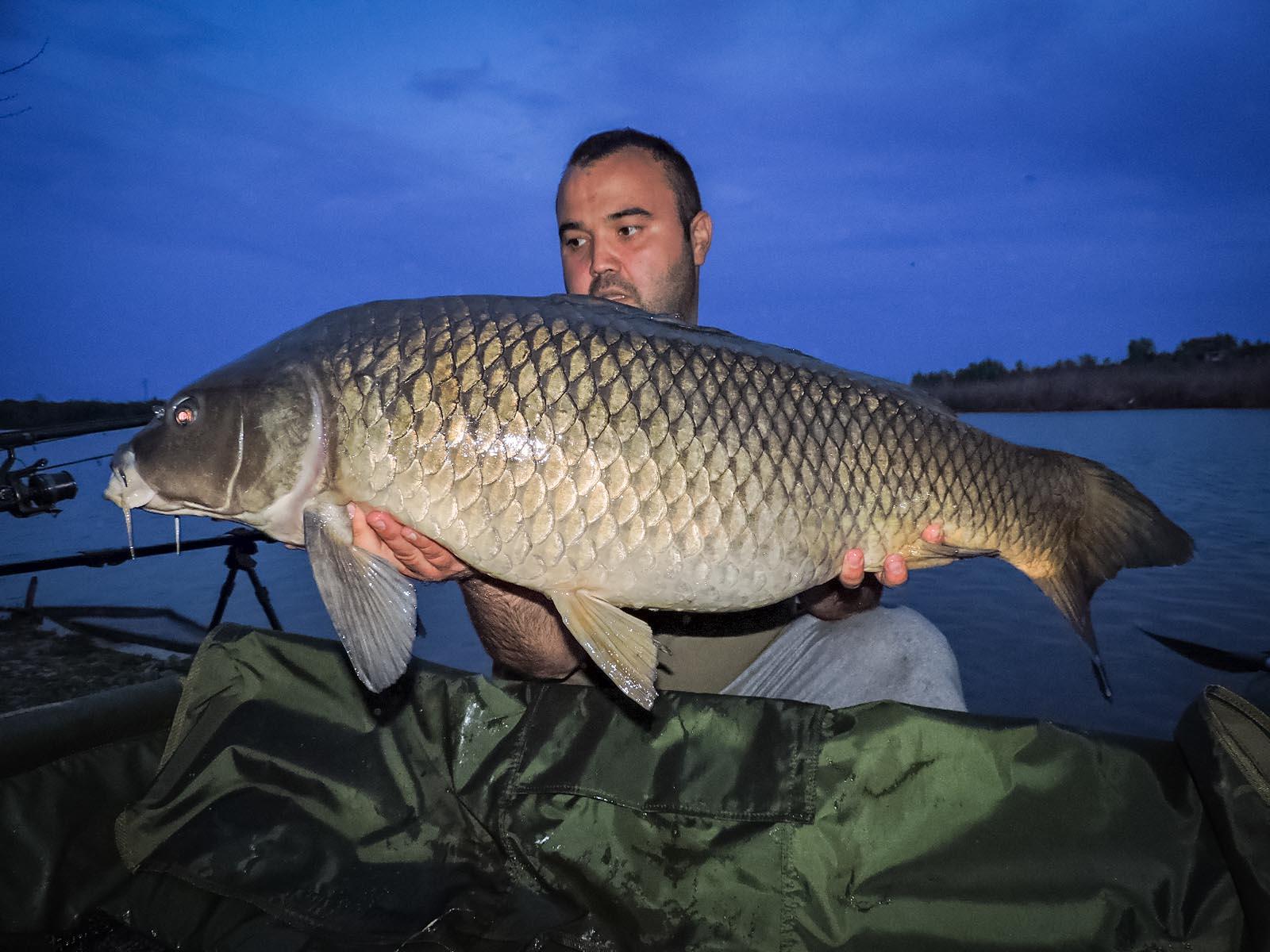 My Passion - printdscn0840.jpg